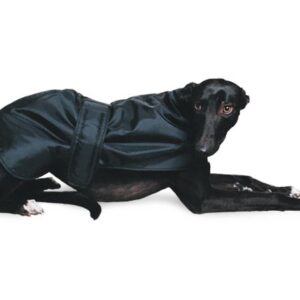 ANCOL GREYHOUND COAT
