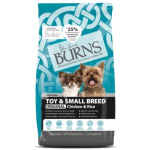 BURNS TOY & SMALL