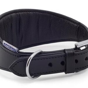 ANCOL GREYHOUND PADDED COLLAR