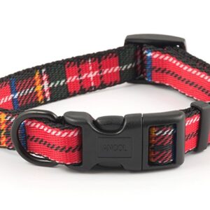 ANCOL TARTAN COLLAR