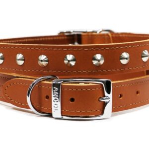 ANCOL SEWN STUD COLLAR
