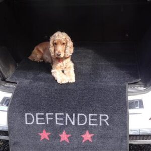 DEFENDER CAR PROTECTION