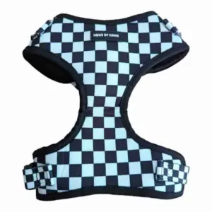 HAUS OF HANK READY STEADY ZOOM ADJUSTABLE HARNESS