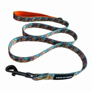 HAUS OF HANK SPACE PAWS LEAD