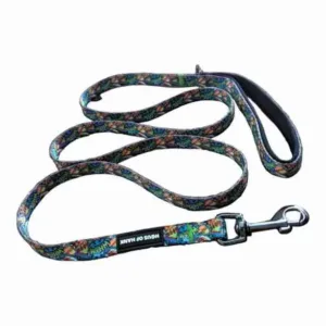 HAUS OF HANK SUPERPUP COMIC LEAD