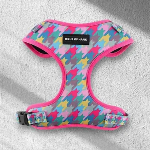 HAUS OF HANK PINK PAW-SETTER ADJUSTABLE HARNESS