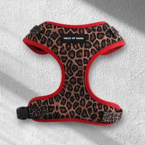 HAUS OF HANK QUEEN OF THE JUNGLE ADJUSTABLE HARNESS