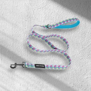 HAUS OF HANK PINK PAW-SETTER LEAD